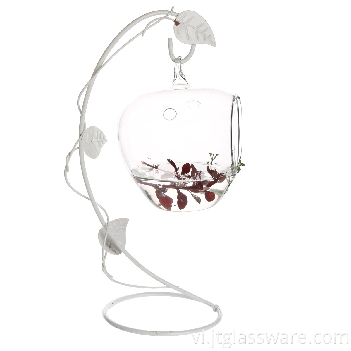 Hanging Glass Apple Shape Orb for all green plants (11)